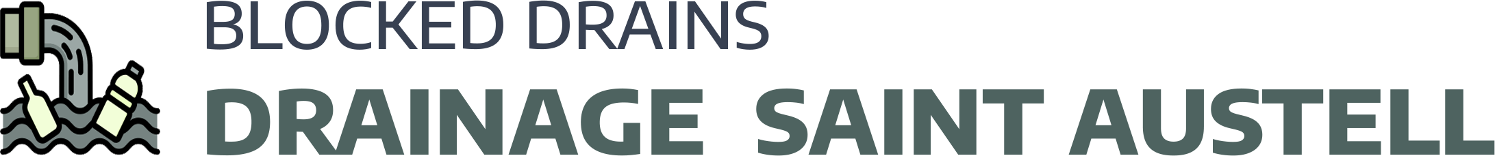 website logo